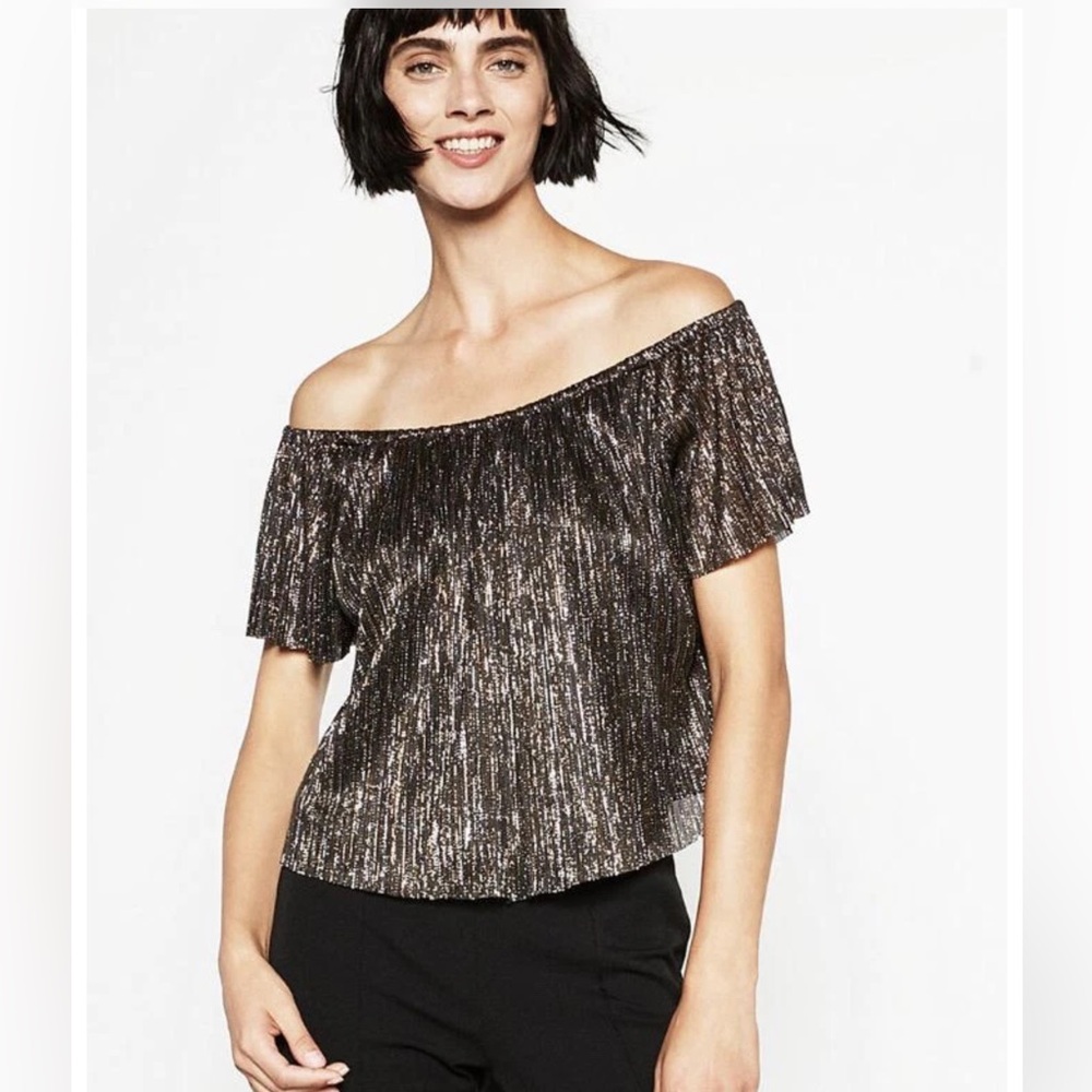Zara Metallic Off-Shoulder Blouse Size s